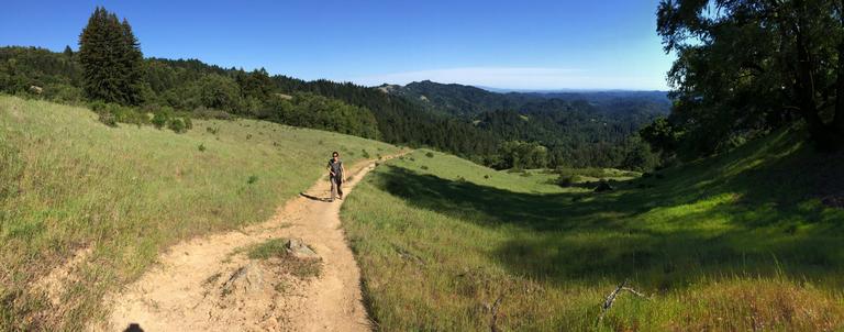 Armstrong Redwoods State Natural Reserve: Hiking Guide