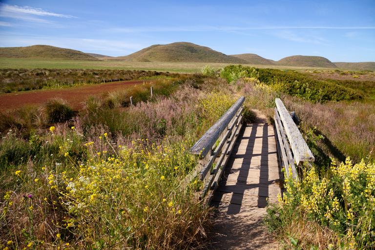 Point Reyes Bridge Point Reyes Beach - North: Hiking Guide