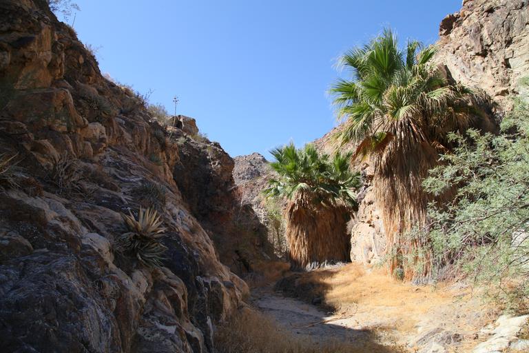 Carrizo Canyon Hiking Guide
