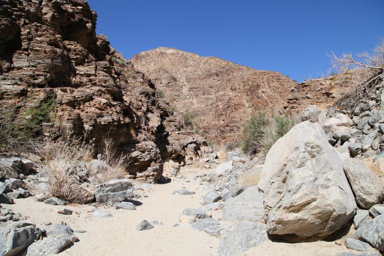 Carrizo Canyon Hiking Guide