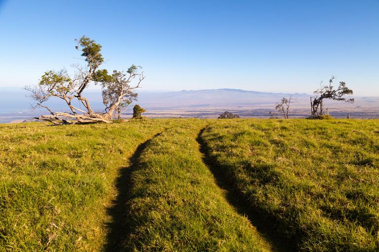 Pu'u Wa'awa'a: Hiking Guide