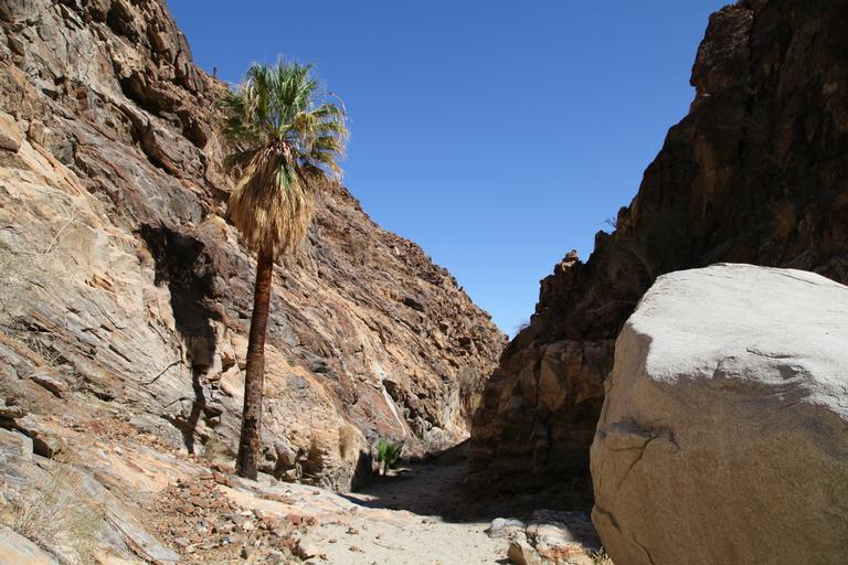 Carrizo Canyon Hiking Guide