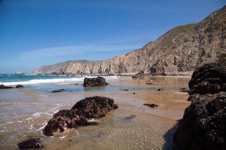 Point Riley North Beach Point Reyes Beach - North: Hiking Guide